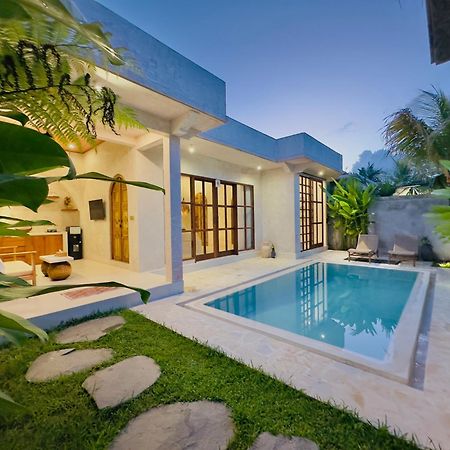 Nick Villa Ubud  Ngoại thất bức ảnh